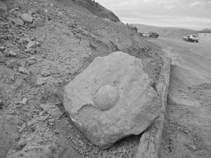 Summerland cannonball