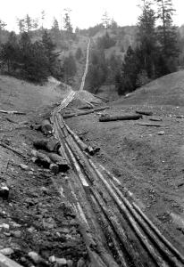 Pandosa Logging Chute