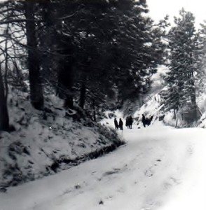 Gully Road in Winfield