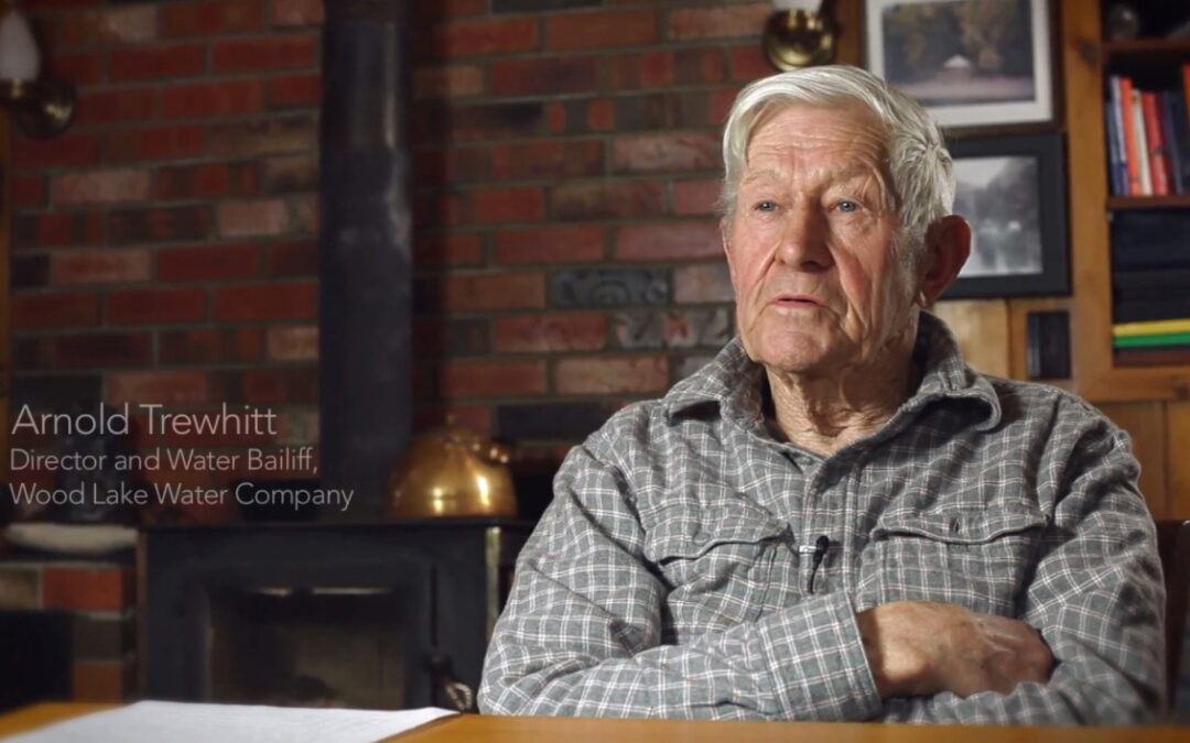 Arnold Trewhitt Director & Bailiff