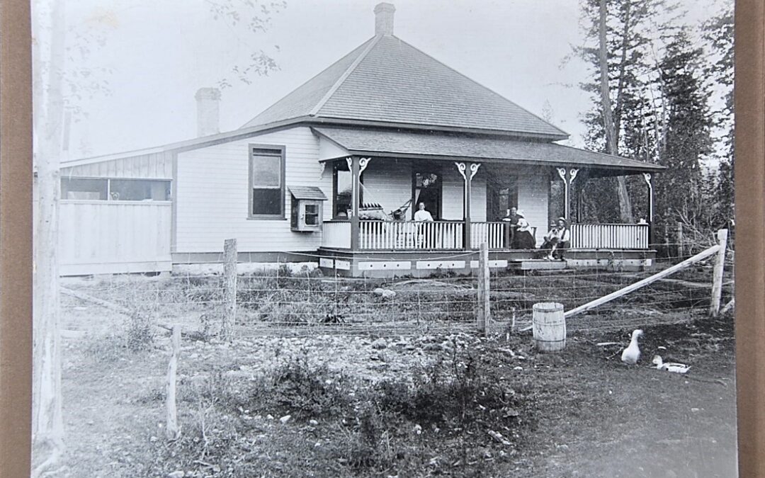 Jane Swalwell house blog pic 1