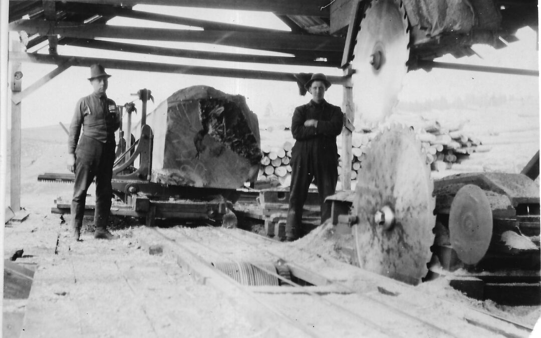 Munson sawmill blog 1 pic