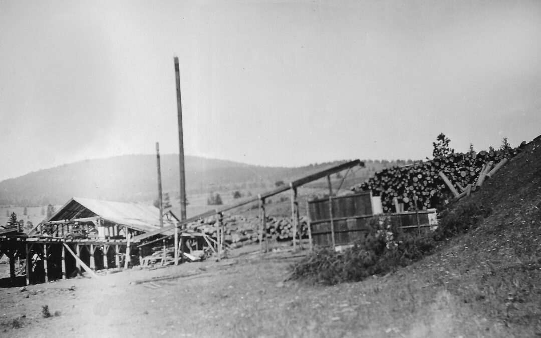 Munson sawmill pic 2 blog 1