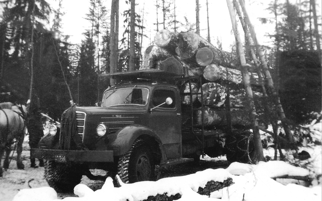 Truck logs