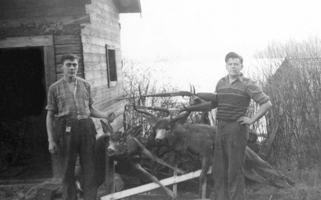 thomson blog 3 pic 2