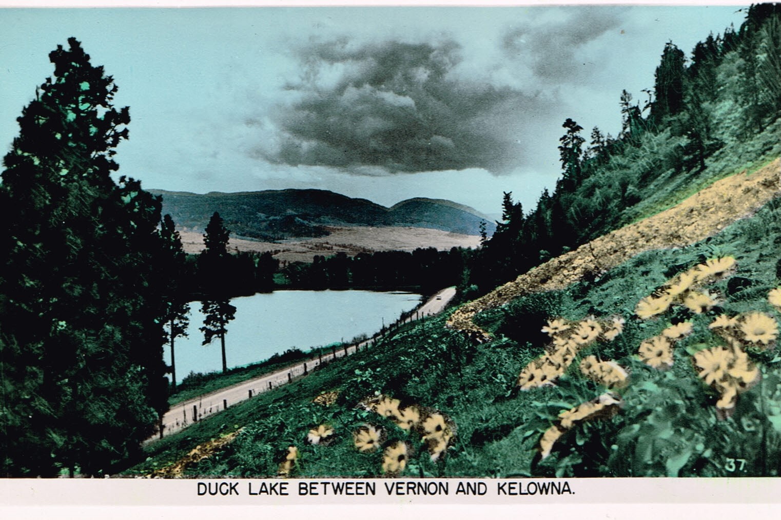 Vintage hand-tinted postcard of Duck Lake